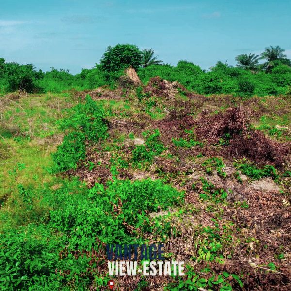 VANTAGE-VIEW ESTATE - Image 3