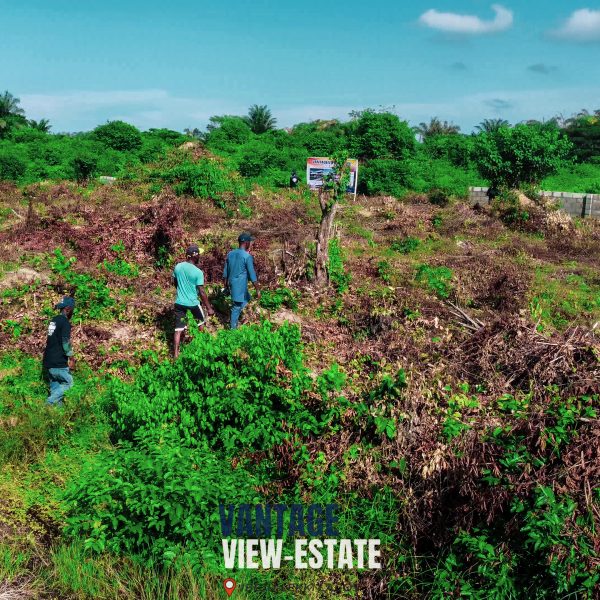 VANTAGE-VIEW ESTATE - Image 4