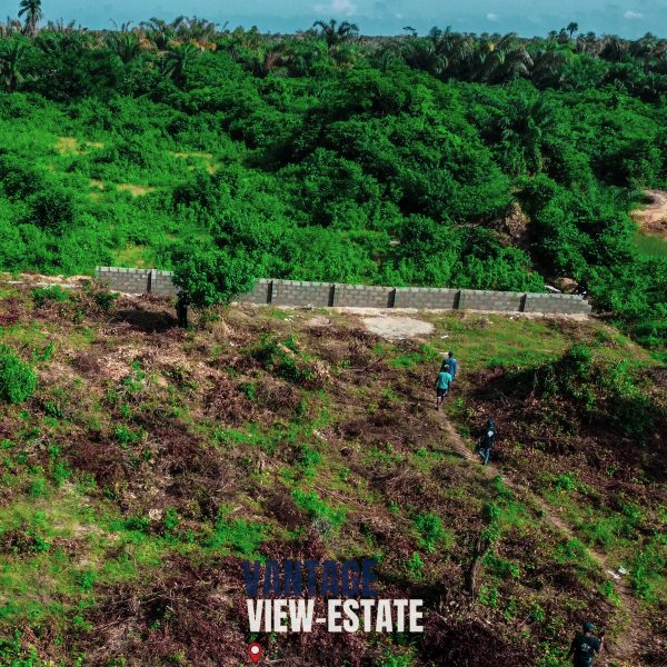 VANTAGE-VIEW ESTATE - Image 6
