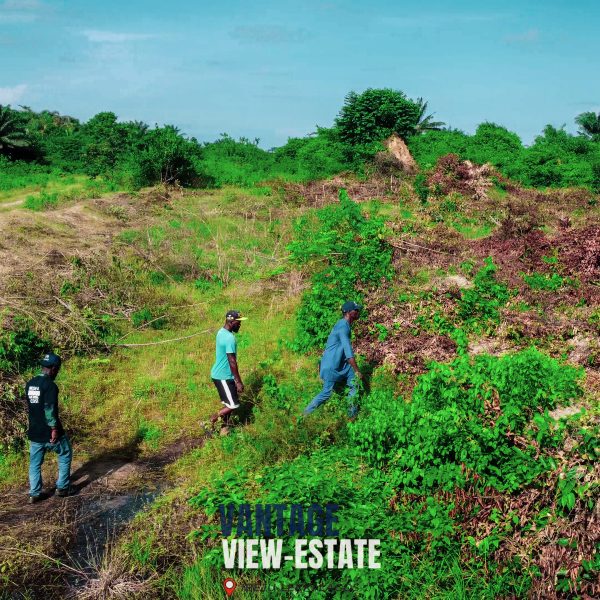 VANTAGE-VIEW ESTATE - Image 9