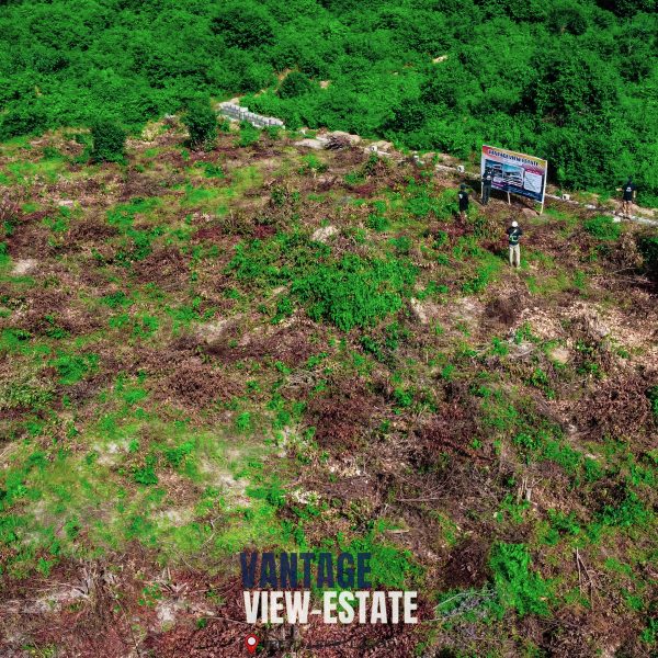 VANTAGE-VIEW ESTATE - Image 2