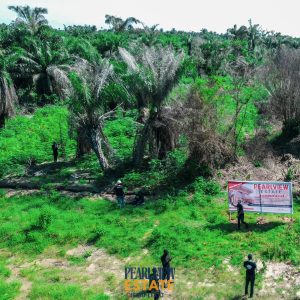 Pearl-View Estate, Ibeju-Lekki, Lagos (Half Plot)